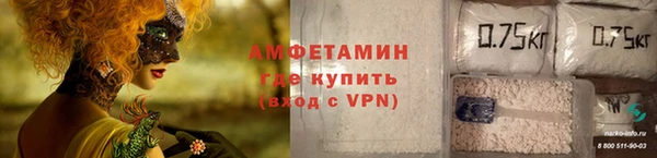 сатива Абаза