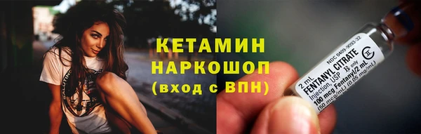 сатива Абаза