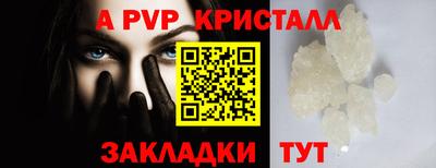 спиды Донской