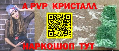 спиды Донской