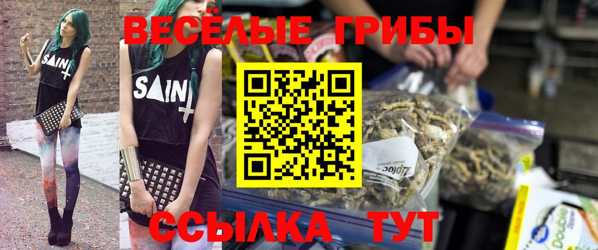 Псилоцибиновые грибы Cubensis  Псилоцибиновые грибы мухоморы  Ярцево  Вход с VPN 